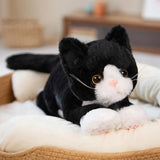 Large plush cat, soft, washable, 53 cm