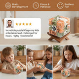 3D Maze Cube, Logic Game