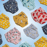 Potty Training Pants, Reusable Training Underwear