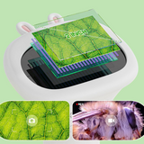 Digital Microscope for Kids – Portable with Screen