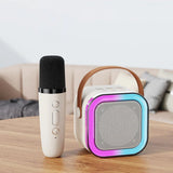 Mini Karaoke Kit, Wireless Microphone with Speaker
