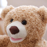 Ours Peek-a-Boo, interactive talking plush toy