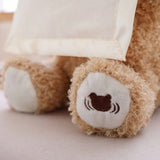 Ours Peek-a-Boo, interactive talking plush toy