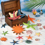 Starfish – beach toy, soft PVC rubber toy for pool and sand
