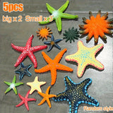 Starfish – beach toy, soft PVC rubber toy for pool and sand