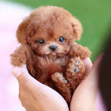 Mobile Plush Dog Toy – Interactive Mascot