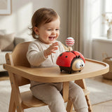 Ladybug Toy, Air-Powered Car