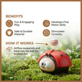 Ladybug Toy, Air-Powered Car