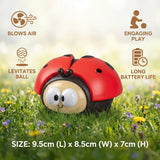 Ladybug Toy, Air-Powered Car