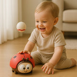 Ladybug Toy, Air-Powered Car
