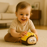 Ladybug Toy, Air-Powered Car