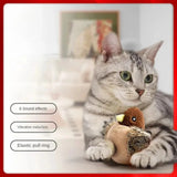 Cat Toy, Flying Bird with Sound