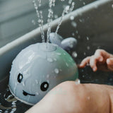 Whale Bath Toy, Water Sprayer