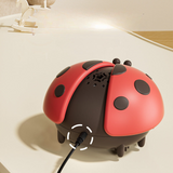 Ladybug Shaped Toy – Activity Balloon for Babies